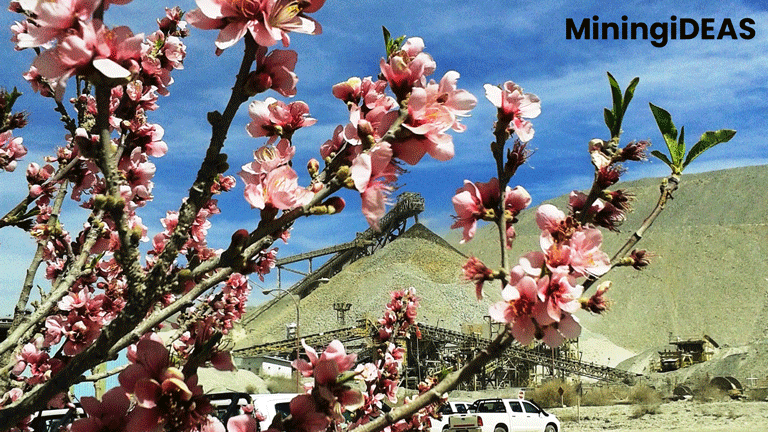 MiningiDEAS Environment Management. Mine Closure Analisis.
